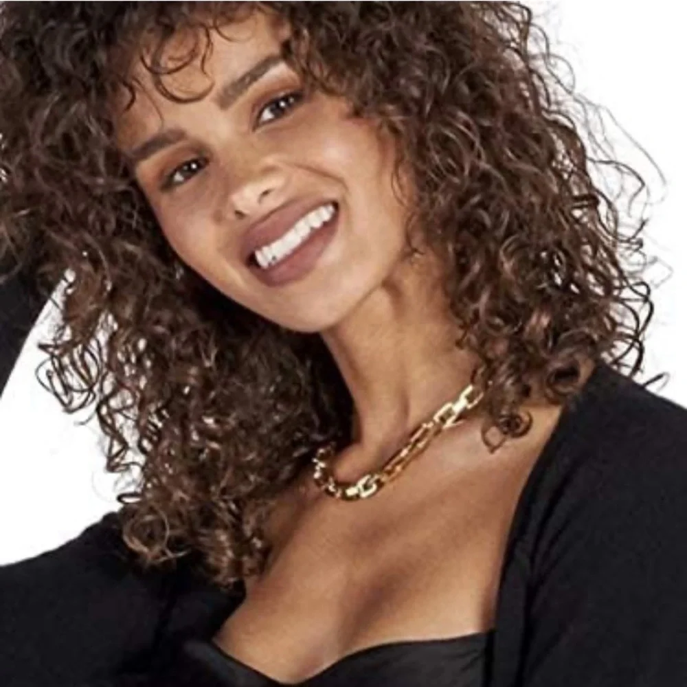 Eddie Borgo Supra Chain Link Necklace ~ Rachel Zoe box 📦 of Style - Picture 2 of 5